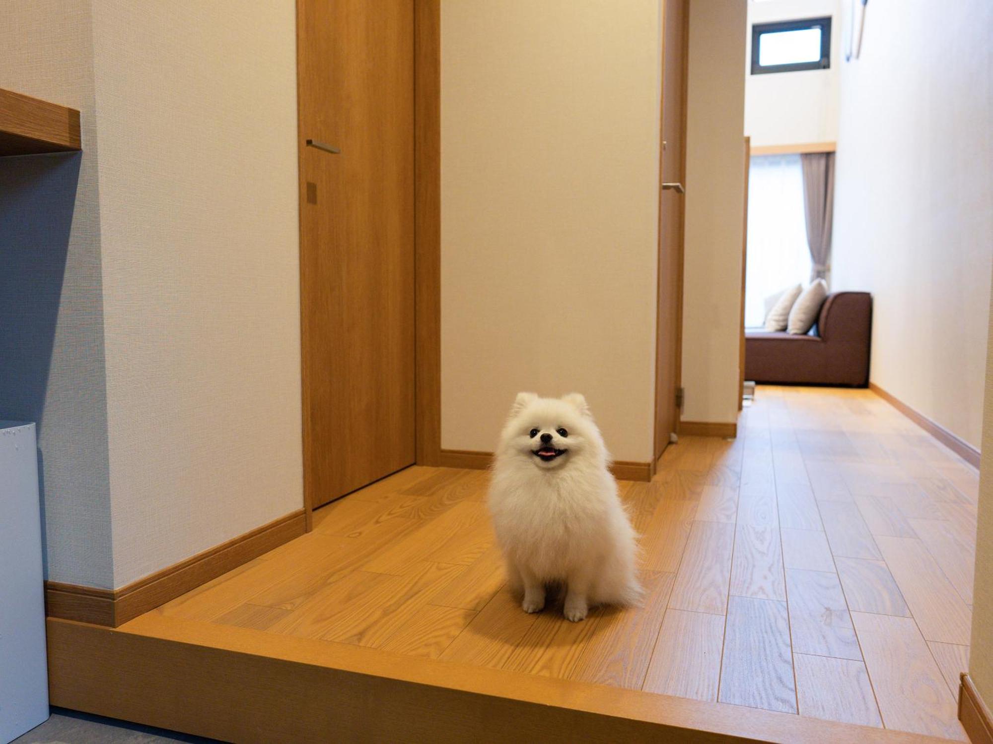 Rakuten Stay Villa Yatsugatake 호쿠토 외부 사진