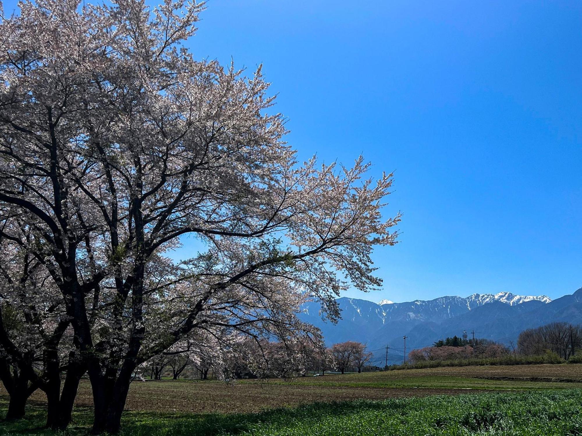Rakuten Stay Villa Yatsugatake 호쿠토 외부 사진