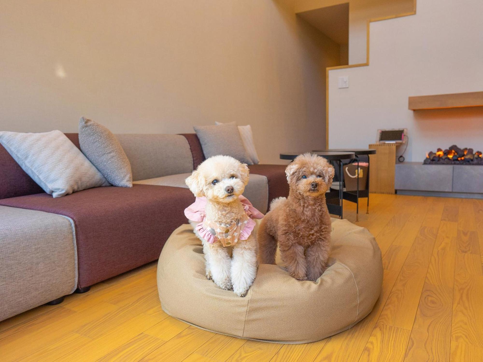 Rakuten Stay Villa Yatsugatake 호쿠토 외부 사진